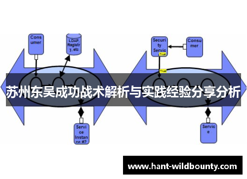苏州东吴成功战术解析与实践经验分享分析